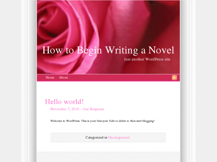 www.howtobeginwritinganovel.com