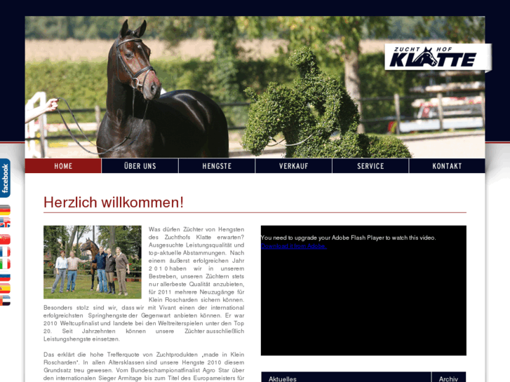 www.sporthorses-klatte.com