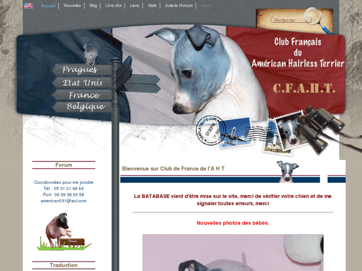 www.american-hairless-terrier.com