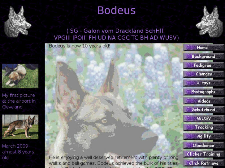 www.bodeus.com