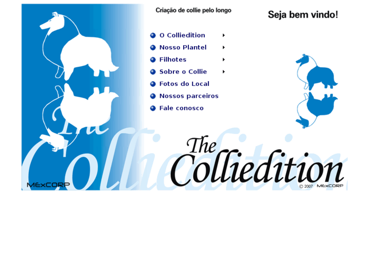 www.colliedition.com