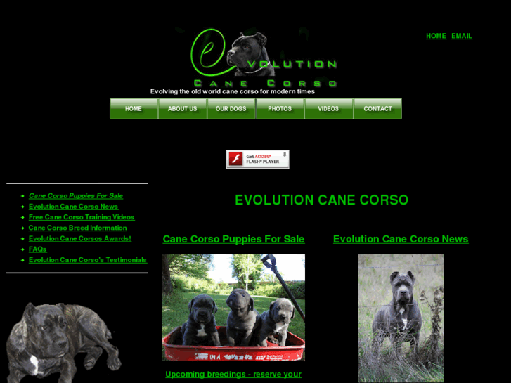 www.evolutioncanecorso.com