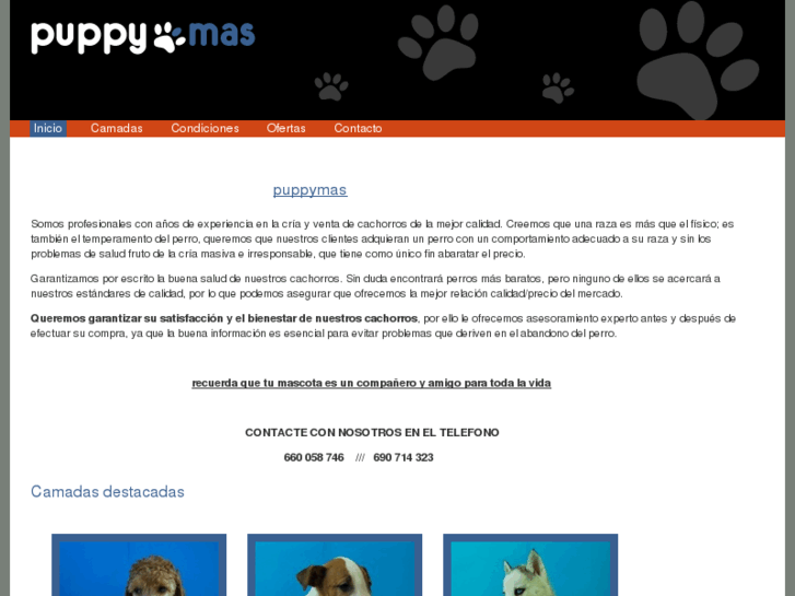 www.puppymas.com