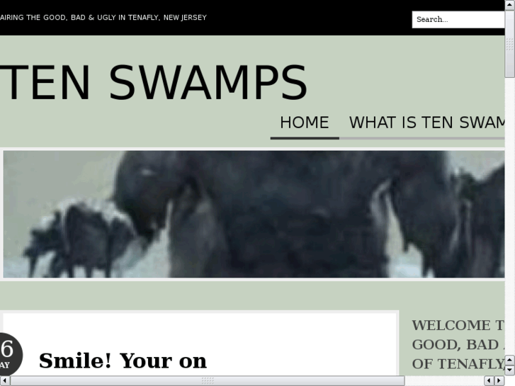 www.tenswamps.com