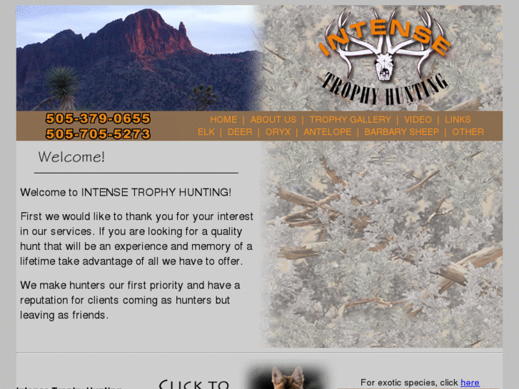 www.intensetrophyhunting.com