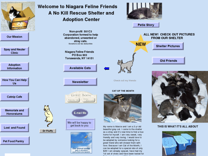 www.niagarafelinefriends.com