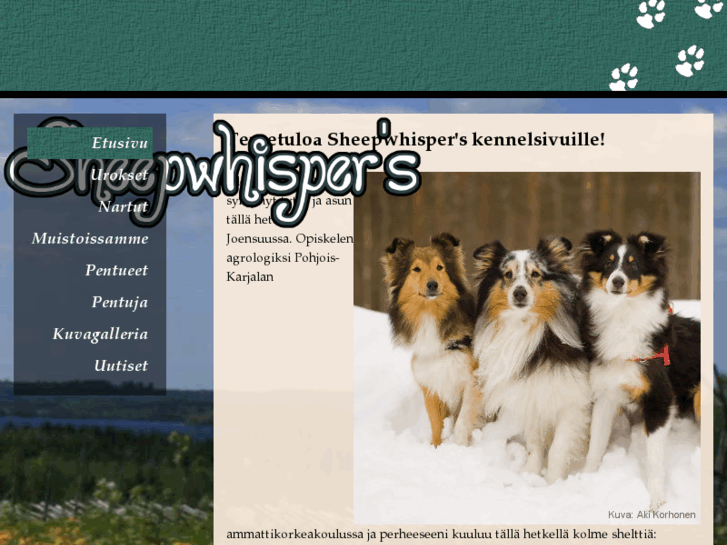 www.sheepwhispers.com