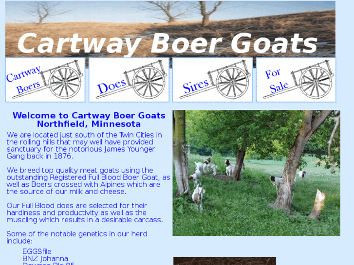 www.cartwayboergoats.com