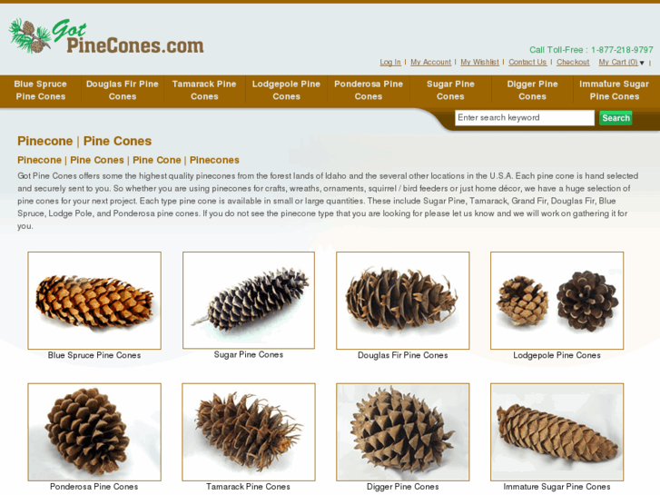 www.gotpinecones.com