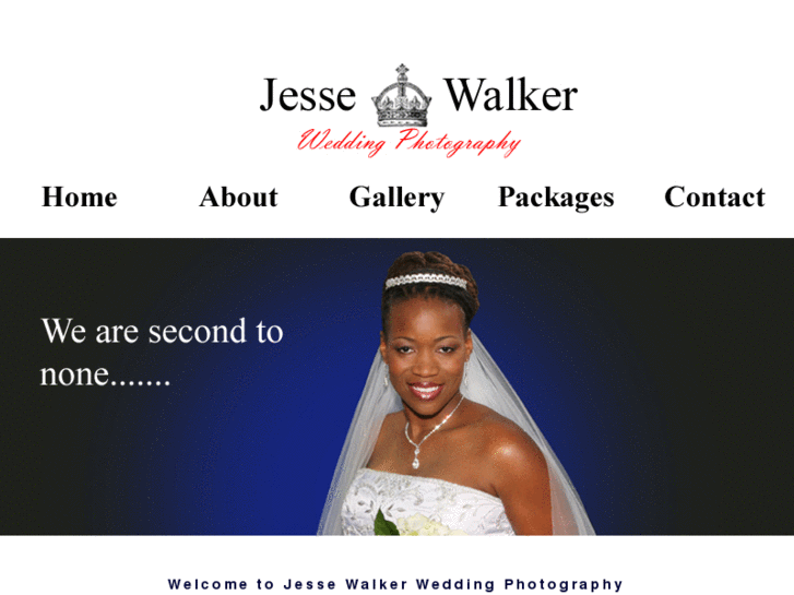 www.jessewalkerweddingphotographer.com