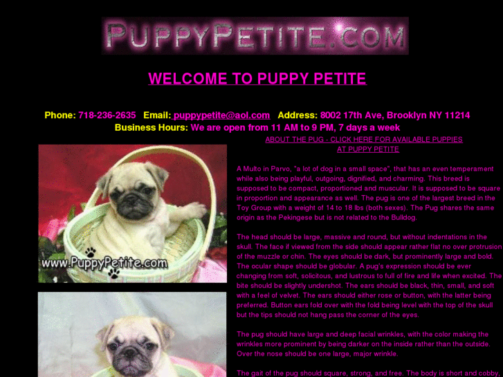 www.mypuppypetite.com