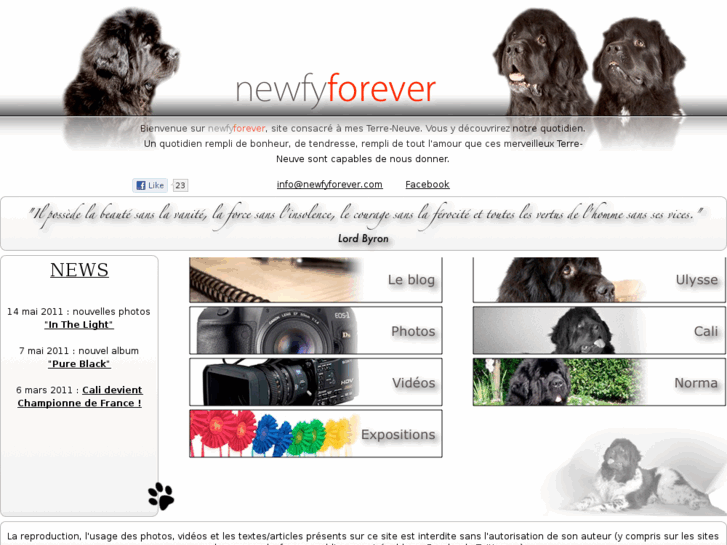 www.newfyforever.com