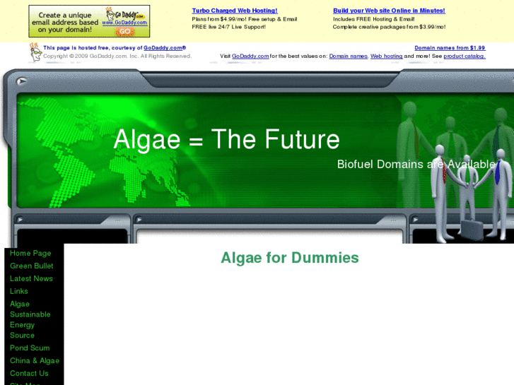 www.algae2gas.com