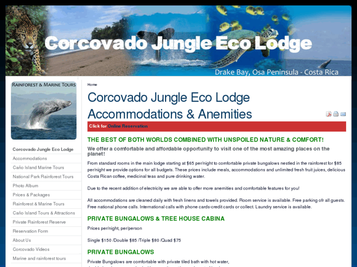 www.corcovadojungleecolodge.com