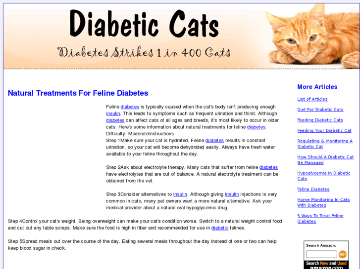 www.diabeticcats.org