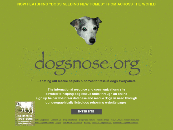 www.dogsnose.org