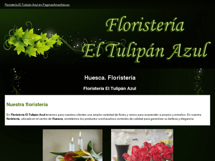 www.floristeriaeltulipanazul.es