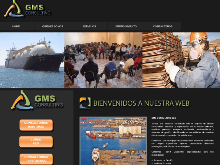 www.gmsconsultingperu.com