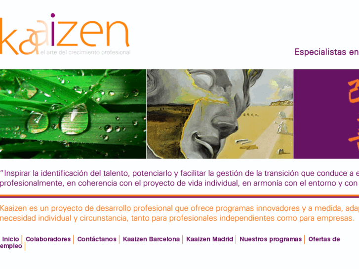 www.kaaizen.es