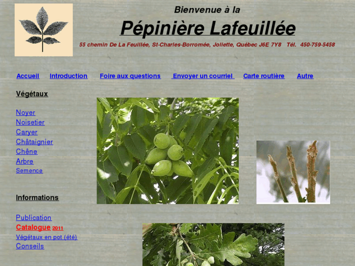 www.lafeuillee.com