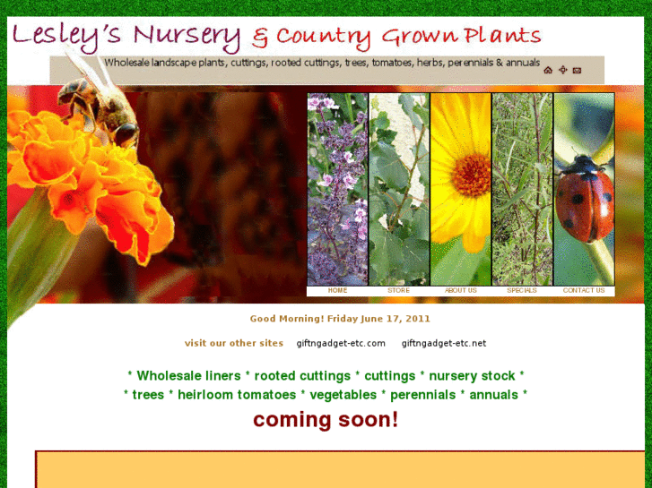 www.lesleysnursery.com