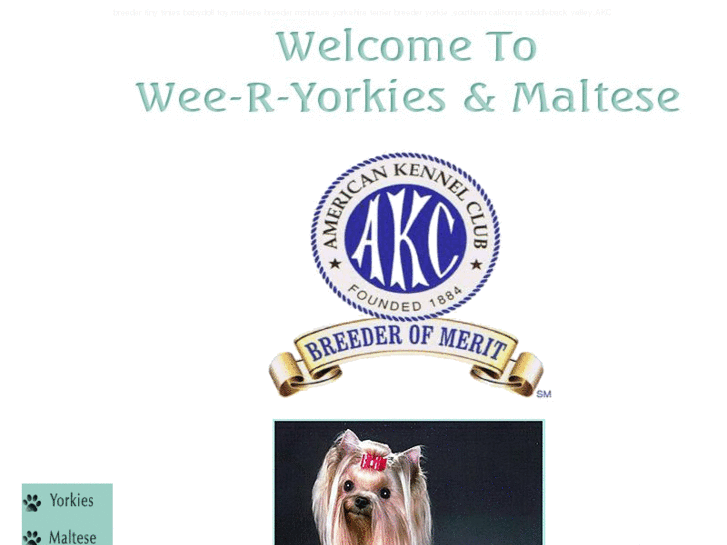 www.wee-r-yorkies.com