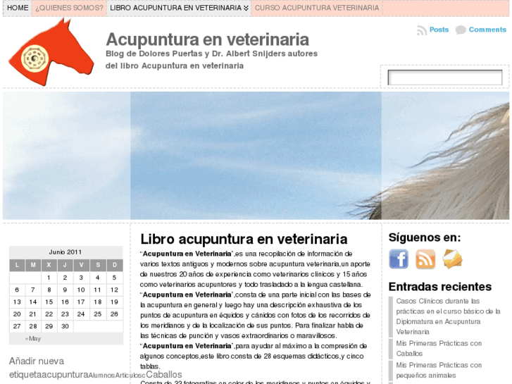 www.acupunturaenveterinaria.com