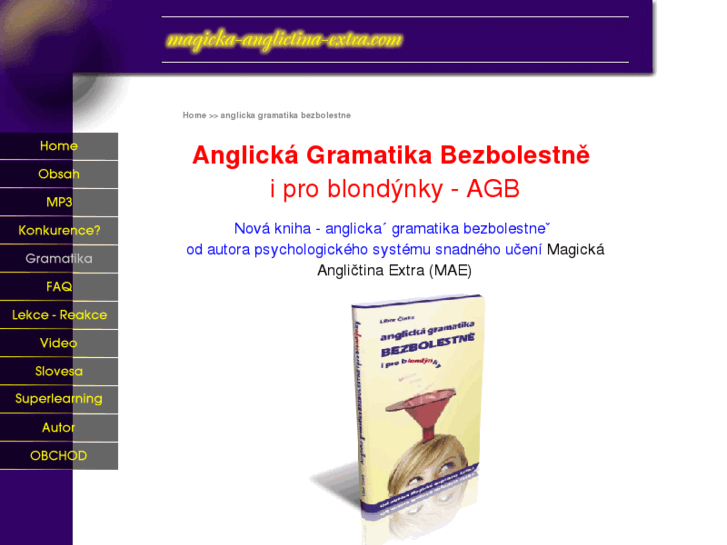 www.anglickybezbolestne.com