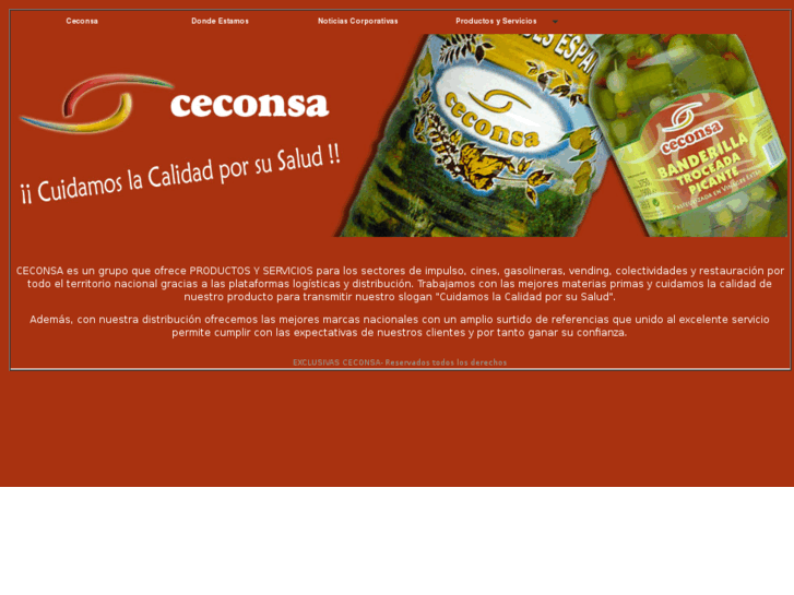 www.ceconsa.com