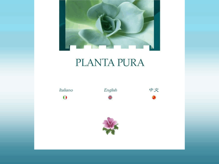 www.plantapurachina.com