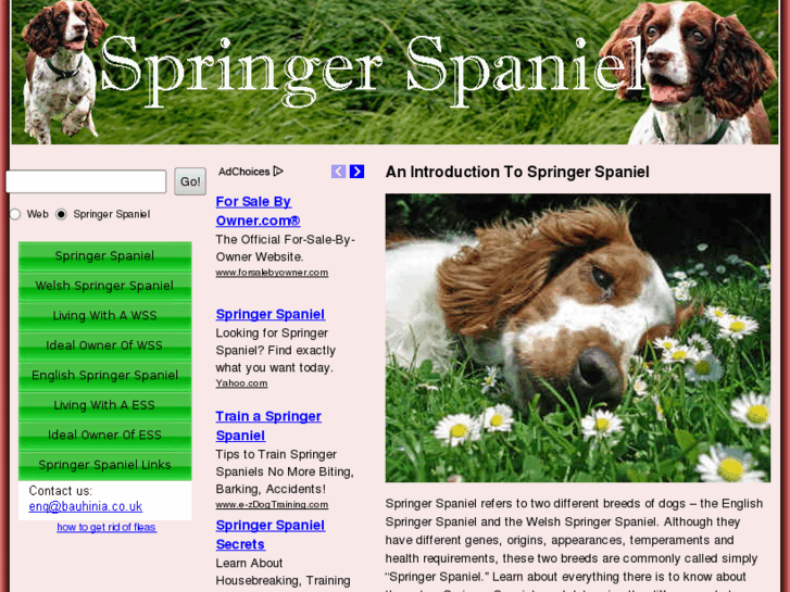 www.springerspaniel.org.uk