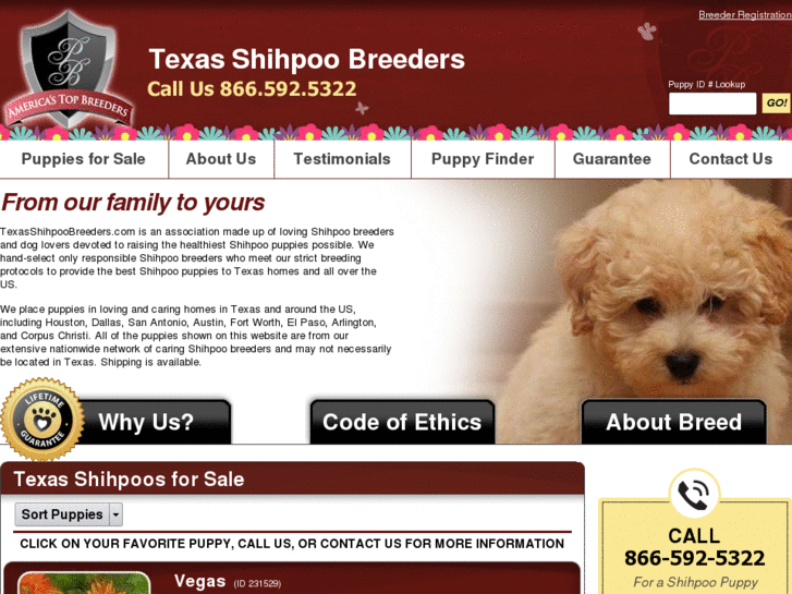 www.texasshihpoobreeders.com