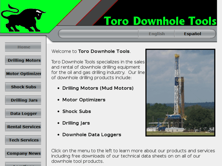 www.torodownhole.com