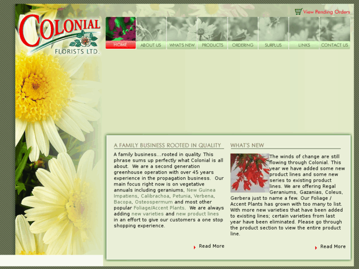 www.colonialfloristsltd.com