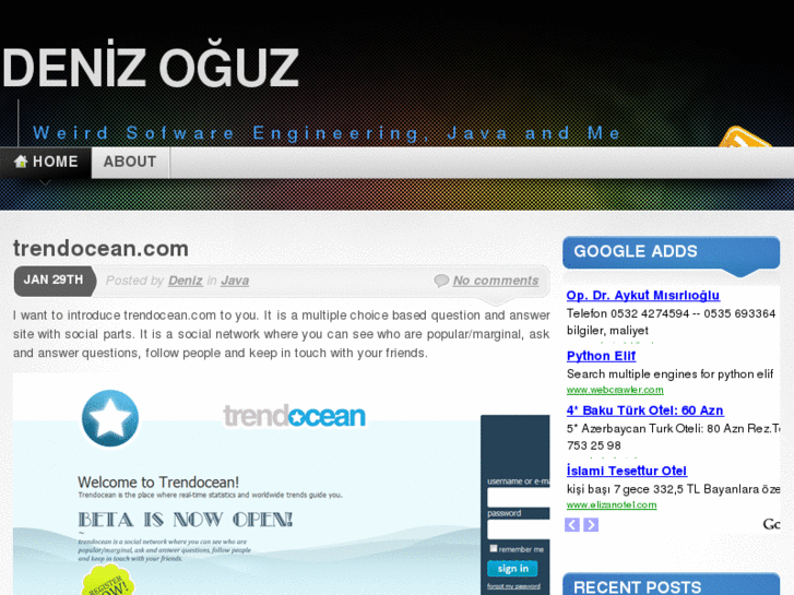 www.denizoguz.com