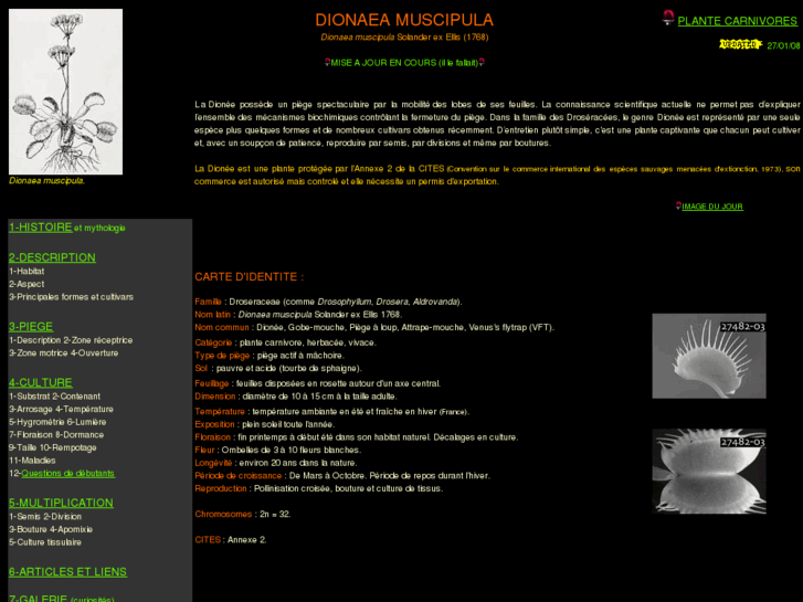 www.dionaea-muscipula.com