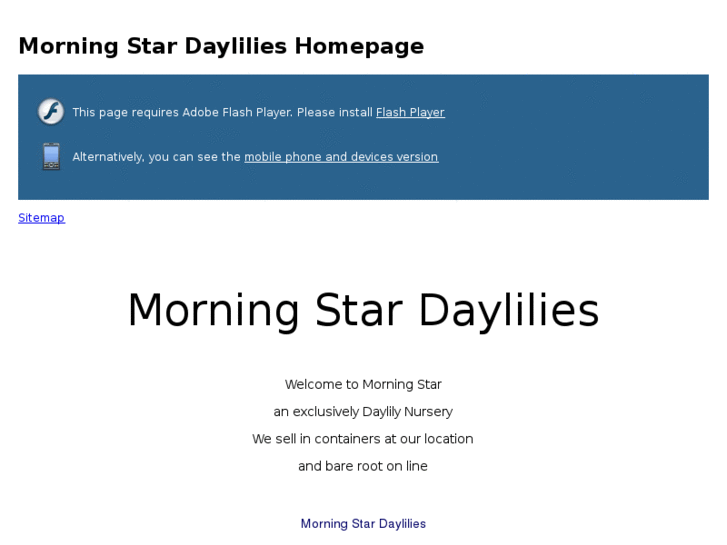 www.morningstardaylilies.com