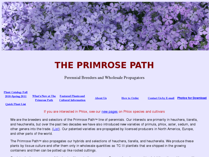 www.theprimrosepath.com