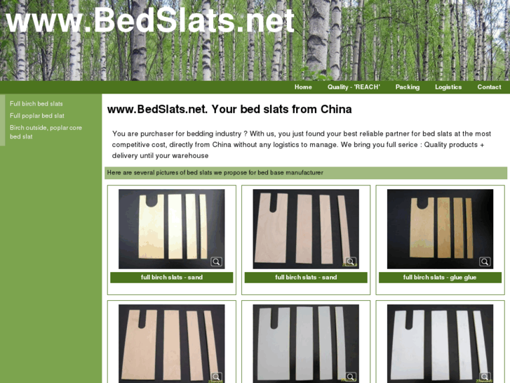 www.bedslats.net