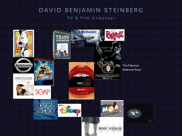 www.davidbsteinberg.com