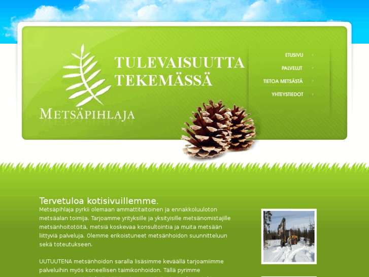 www.metsapihlaja.com