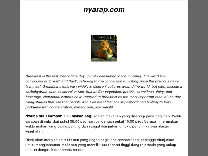 www.nyarap.com