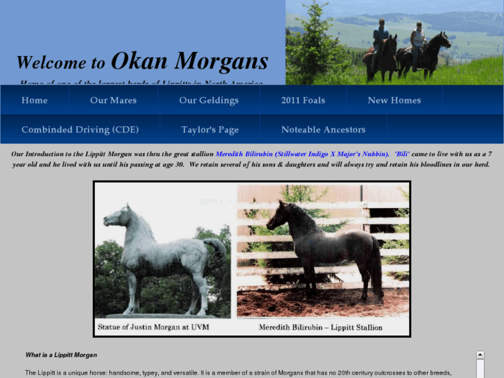 www.okanmorgans.com