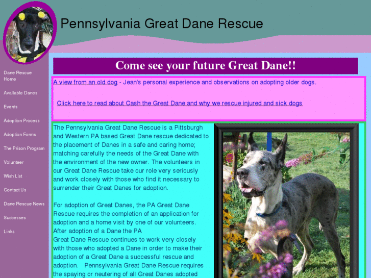 www.pennsylvania-dane-rescue.org