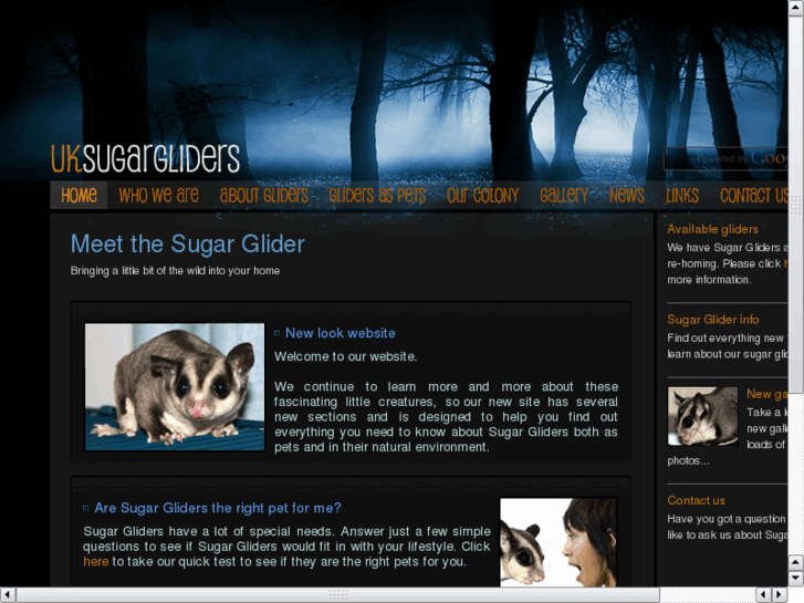 www.uksugargliders.com