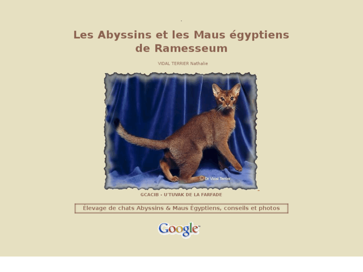 www.abyramesseum.com