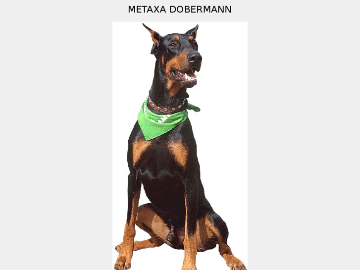 www.metaxa-dobermann.eu