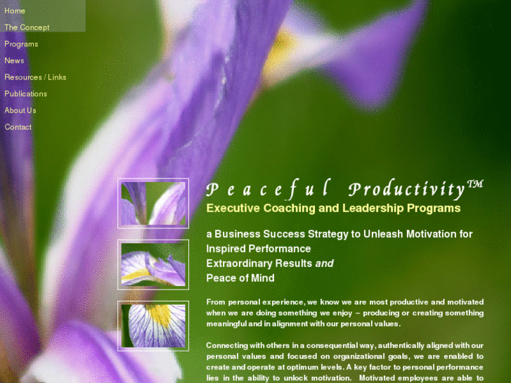 www.peaceful-productivity.com