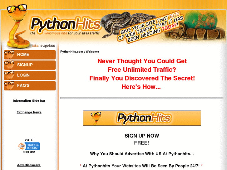 www.pythonhits.com
