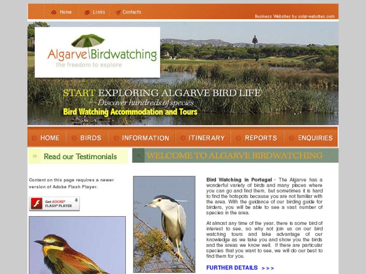 www.algarvebirdwatching.com